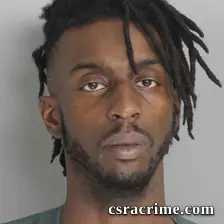 Tommie Robinson booking photo