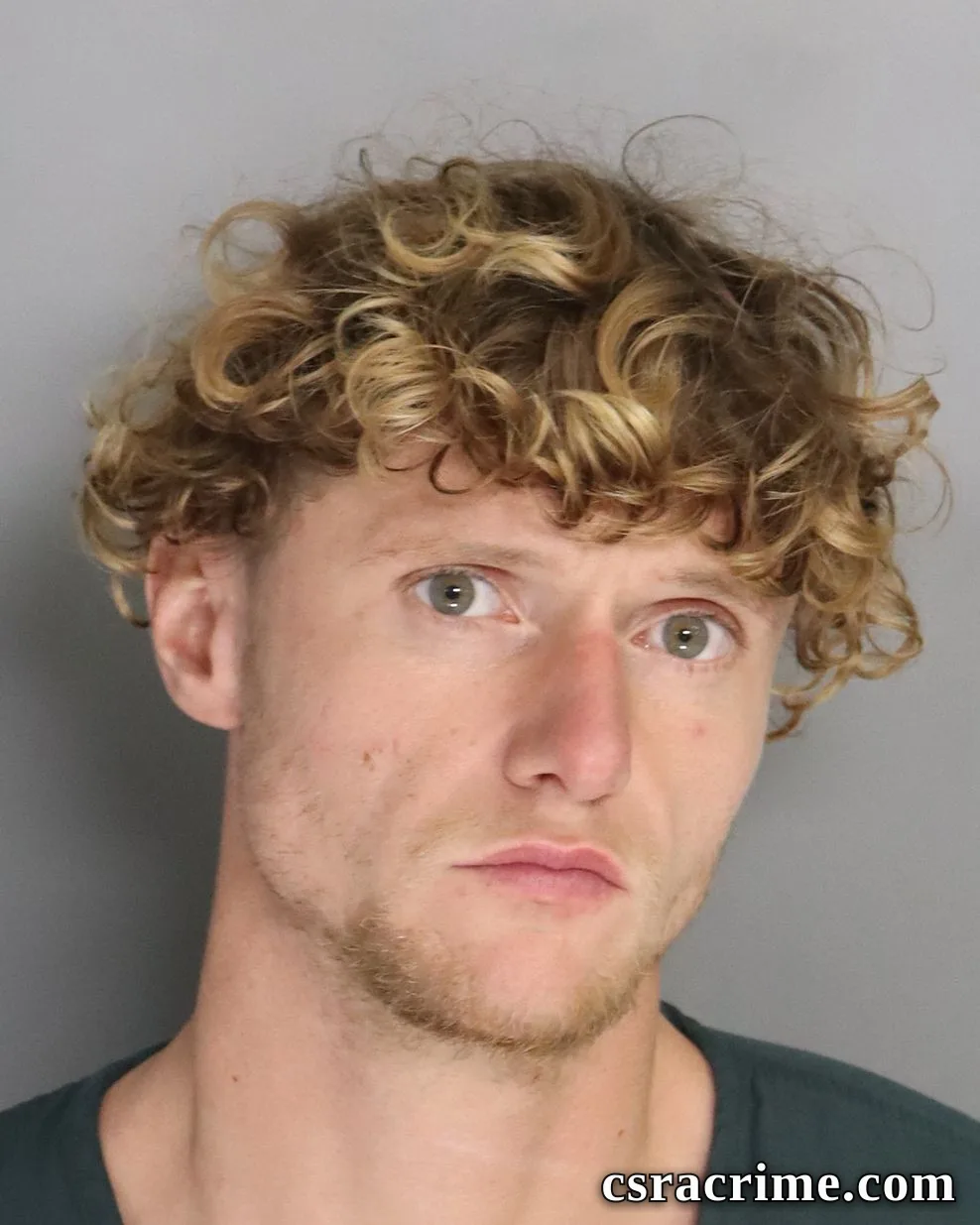 Tony Adamson booking photo