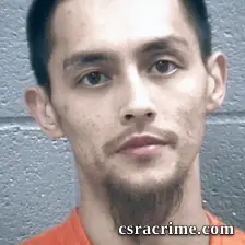 Tony Le booking photo