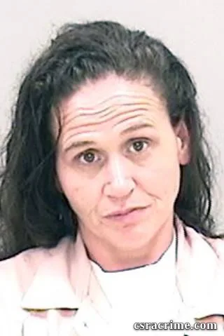 Tonya Manders booking photo