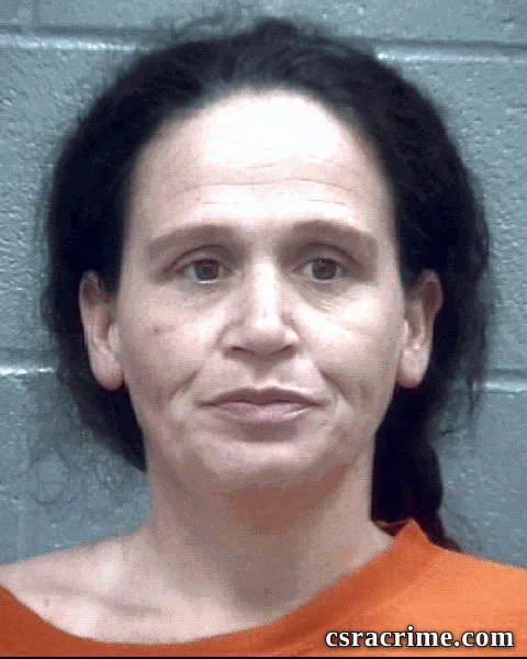 Tonya Manders booking photo