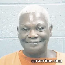 Tonya Mcgruder booking photo