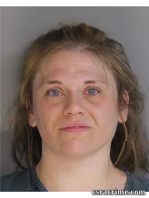 Tonya Zorn booking photo