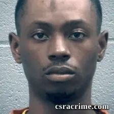 Tori Williams booking photo