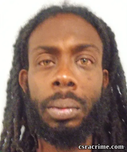 Tracey Devette Dixon booking photo