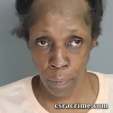 Tracey Fuewell booking photo