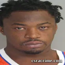 Tracey Johnson booking photo