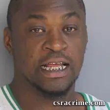 Tracey Johnson booking photo