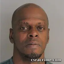 Tracey Mathis booking photo