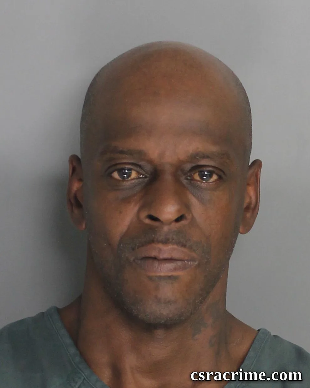 Tracey Mathis booking photo