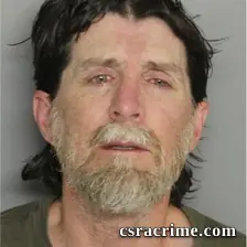 Tracey Mcgee booking photo