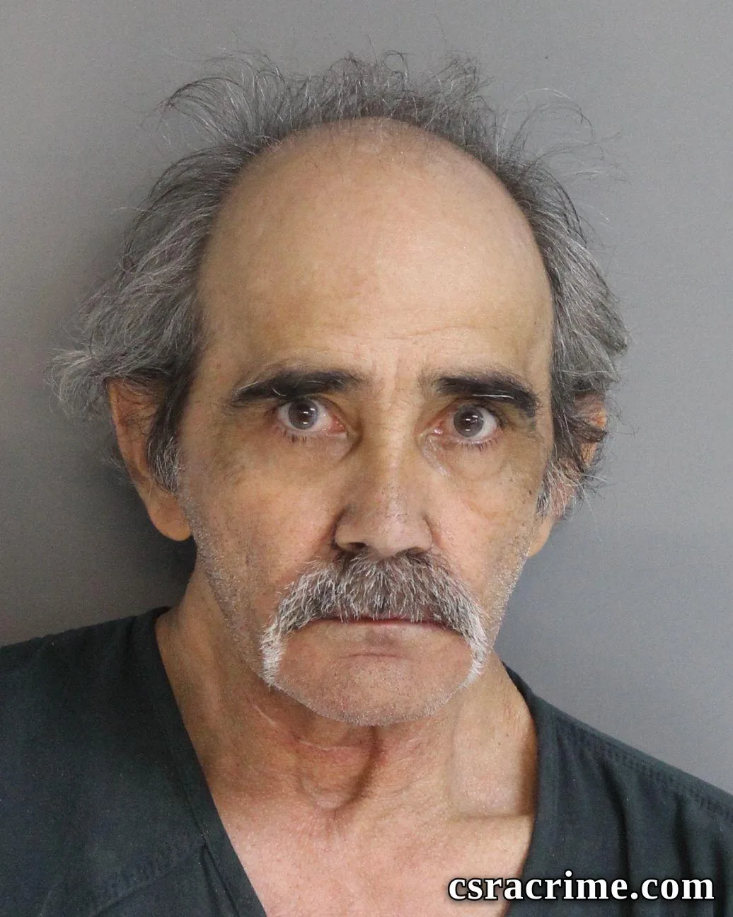 Tracy Busbee booking photo