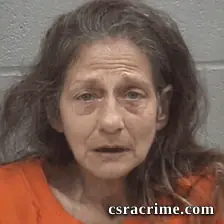 Tracy Diann Jenkins booking photo