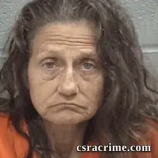 Tracy Diann Jenkins booking photo