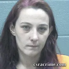 Tracy Hatcher booking photo
