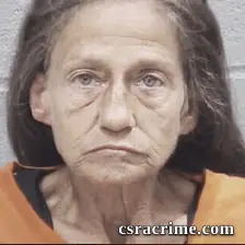 Tracy Jenkins booking photo