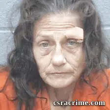 Tracy Jenkins booking photo