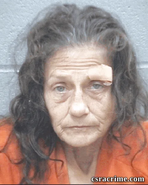 Tracy Jenkins booking photo