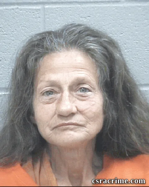 Tracy Jenkins booking photo