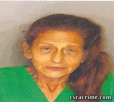 Tracy Jenkins booking photo