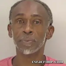 Tracy L Nelson booking photo
