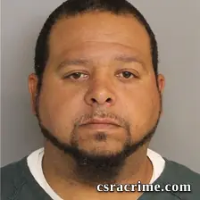 Tracy Steele booking photo