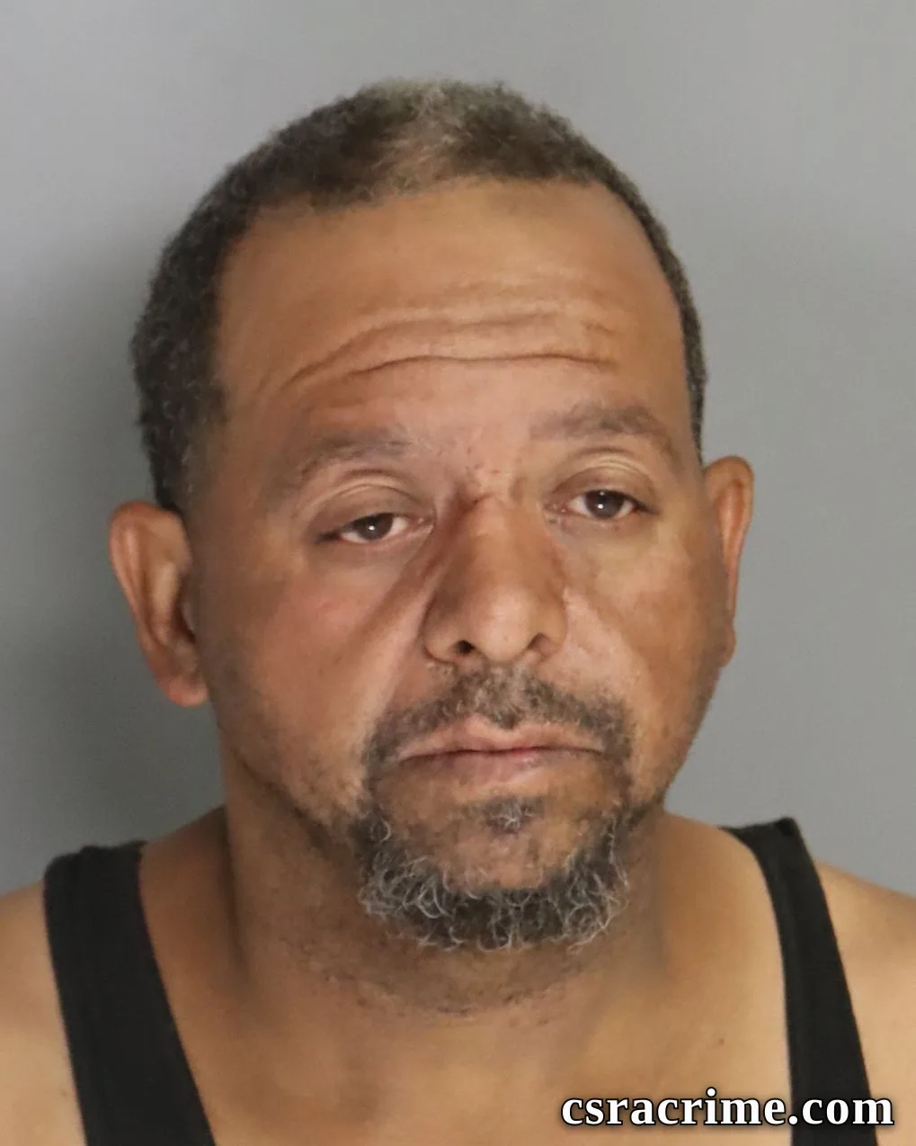 Tracy Steele booking photo
