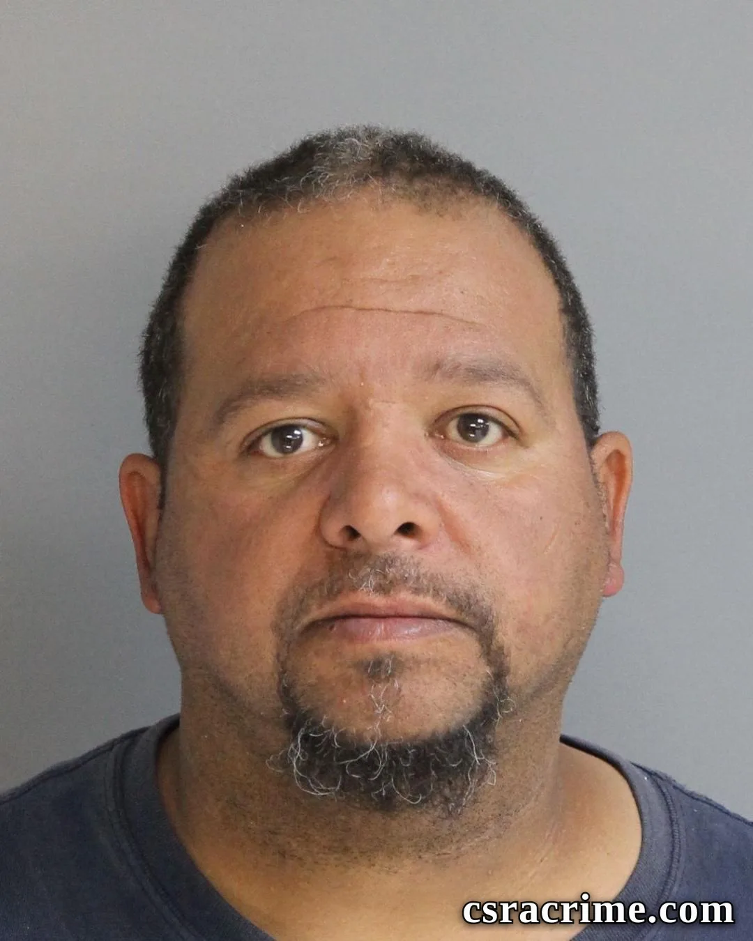 Tracy Steele booking photo