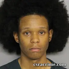 Tracy Steele JR booking photo