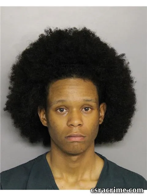 Tracy Steele JR booking photo