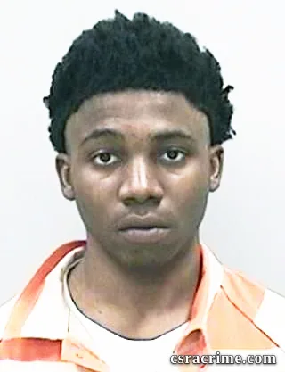 Traveion Fleming booking photo