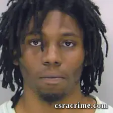 Traveion Fleming booking photo