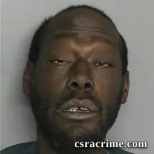 Travis Bronson booking photo