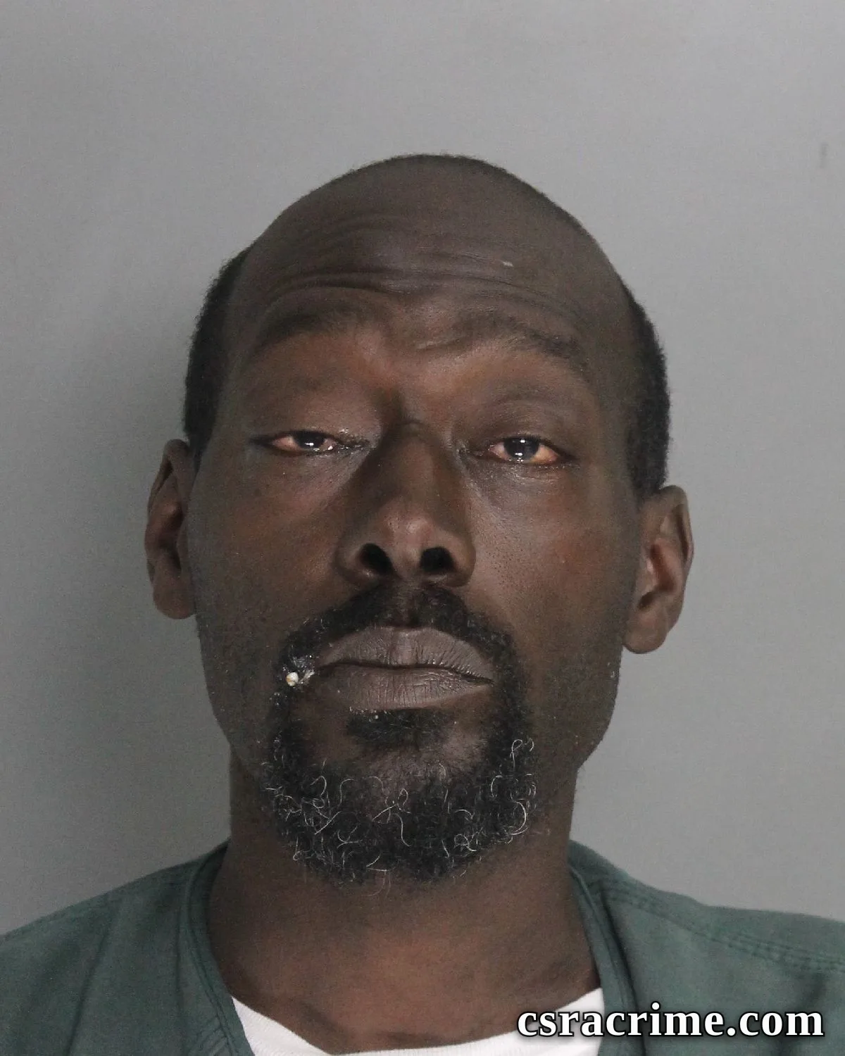 Travis Bronson booking photo