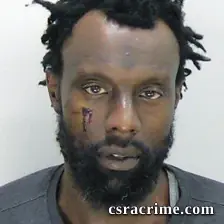 Travis Brown booking photo