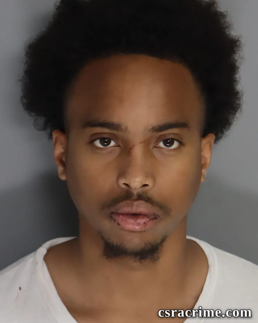 Travis Brown booking photo
