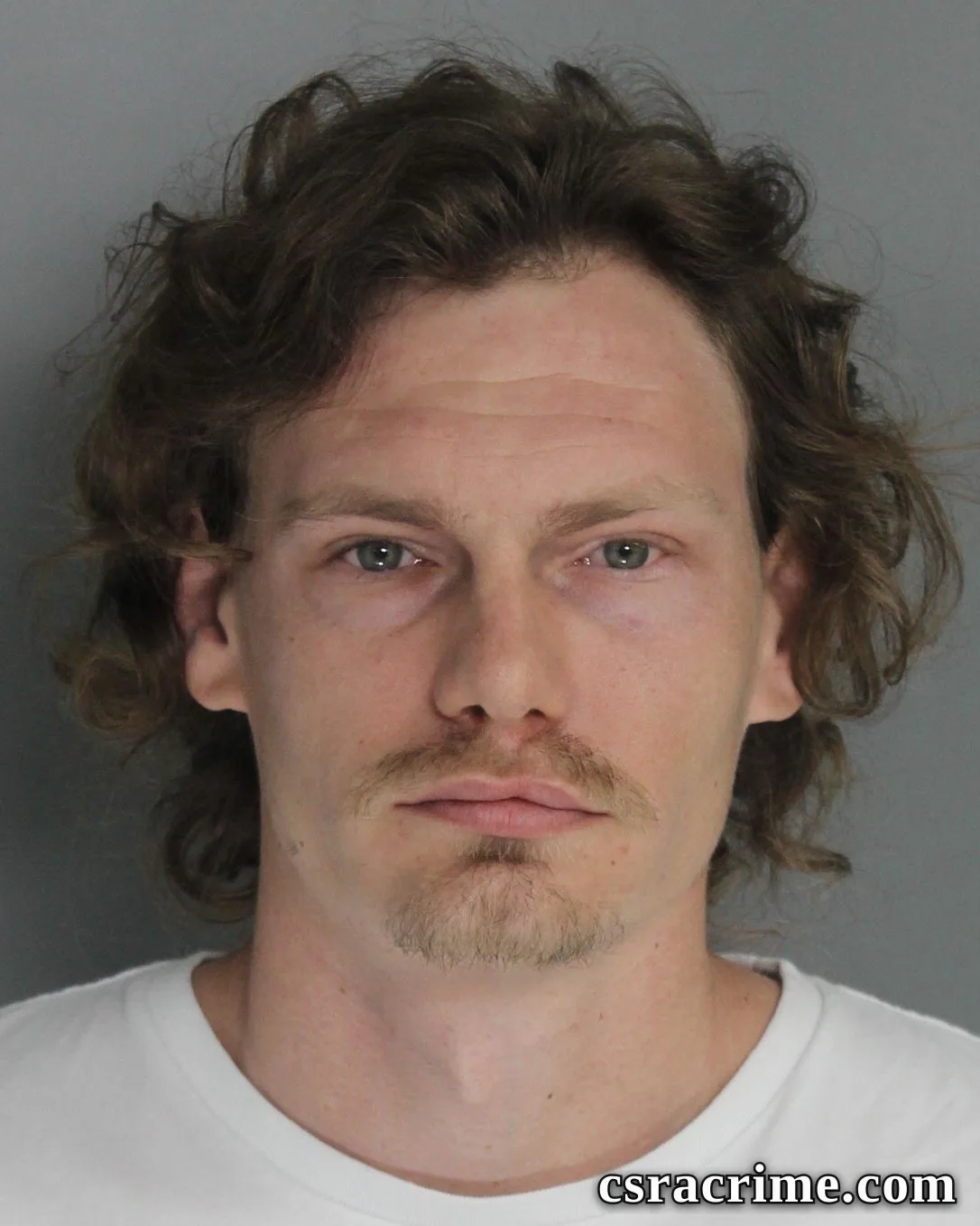 Travis Hallet booking photo