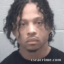 Travis Hamilton booking photo