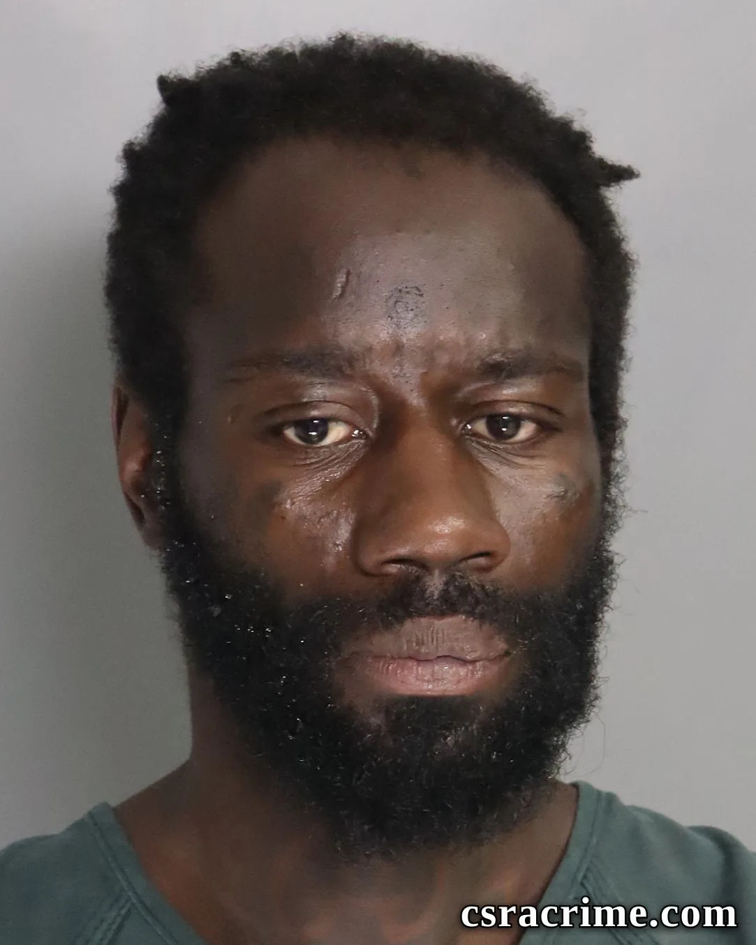 Travis Johnson booking photo