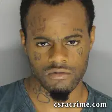 Travis Lanham JR booking photo