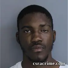 Travis Salley booking photo
