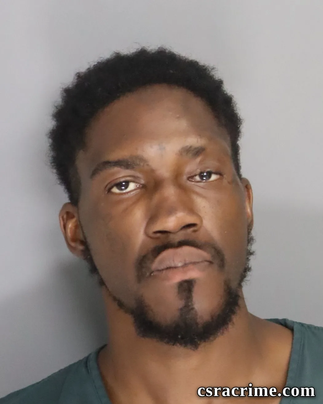 Travis Salley booking photo