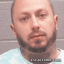 Travis Snyder booking photo