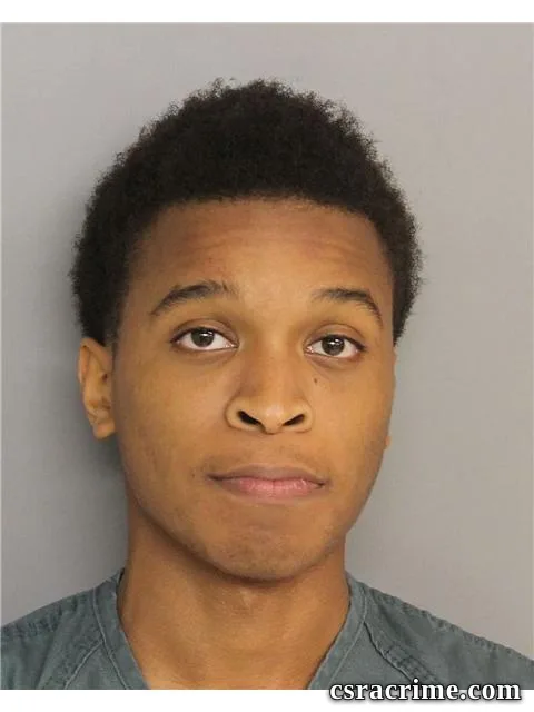 Travis Thomas booking photo