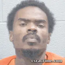 Travis Watkins booking photo