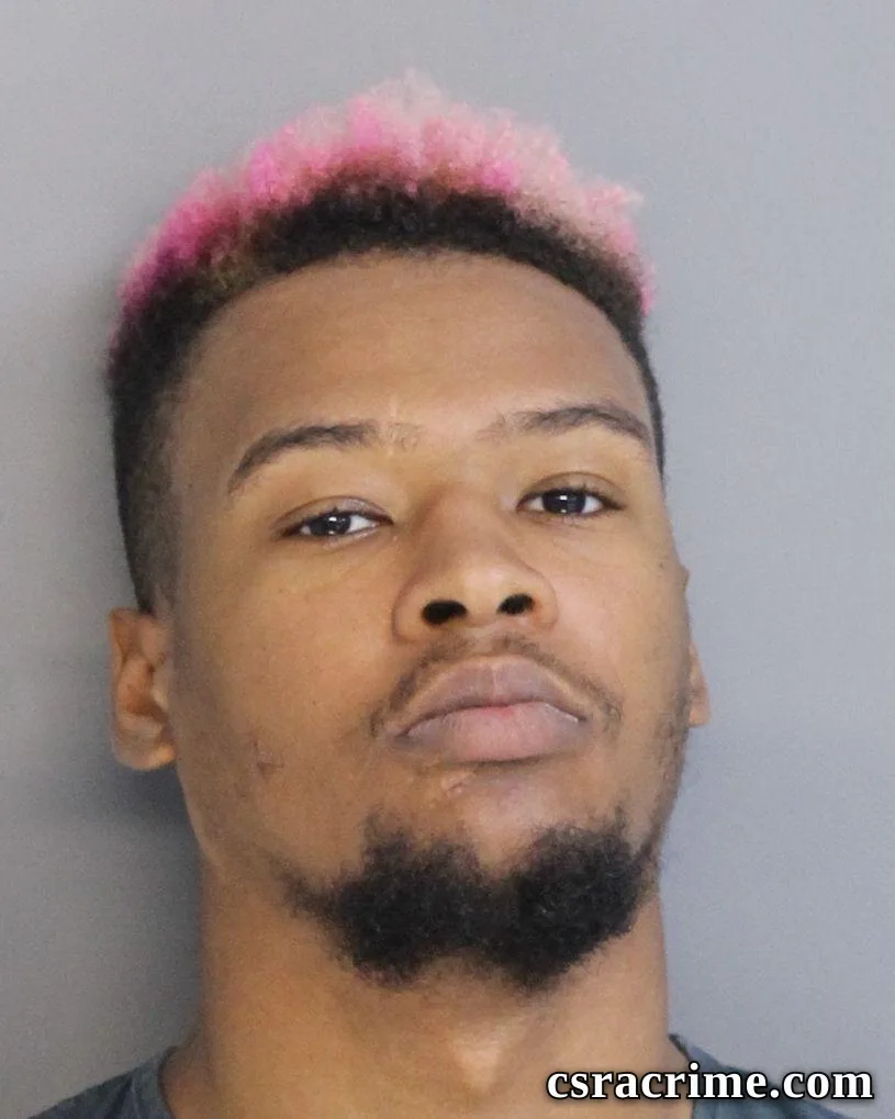 Treaveon Woods booking photo