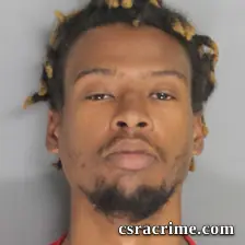 Treaveon Woods booking photo