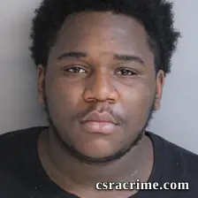 Tremayne Johnson JR booking photo