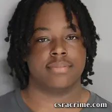 Tremayne Patterson booking photo