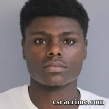 Tremeyl Perry booking photo